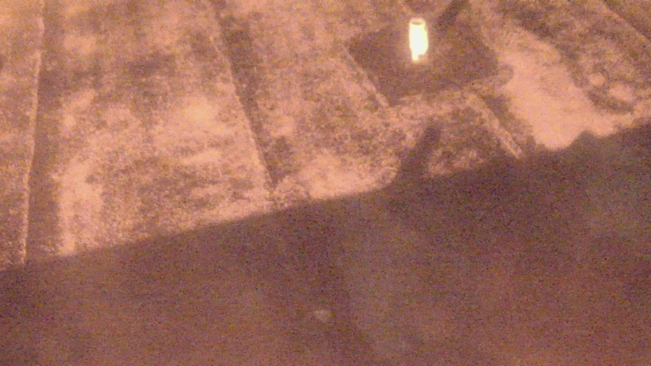 Thumbnail for current weather camera view from Fox Trail ES in Davie, Florida