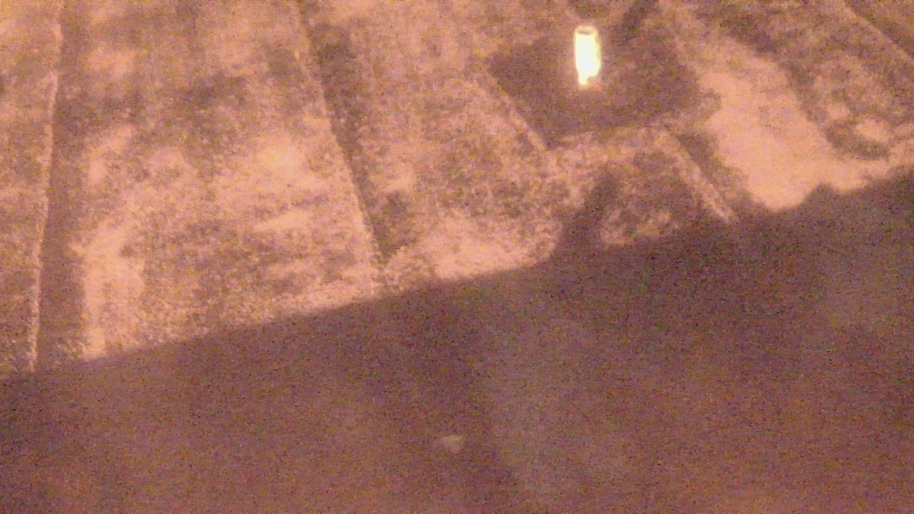 Thumbnail for current weather camera view from Fox Trail ES in Davie, Florida