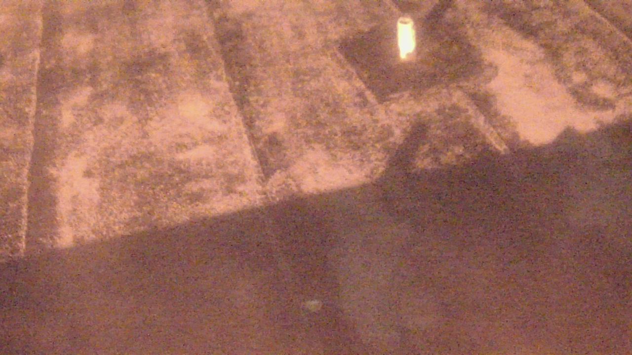 Thumbnail for current weather camera view from Fox Trail ES in Davie, Florida