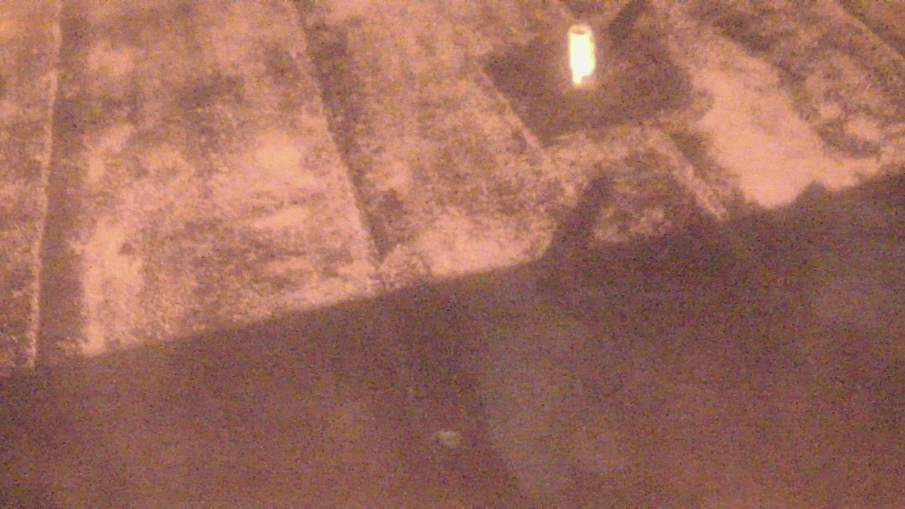 Thumbnail for current weather camera view from Fox Trail ES in Davie, Florida