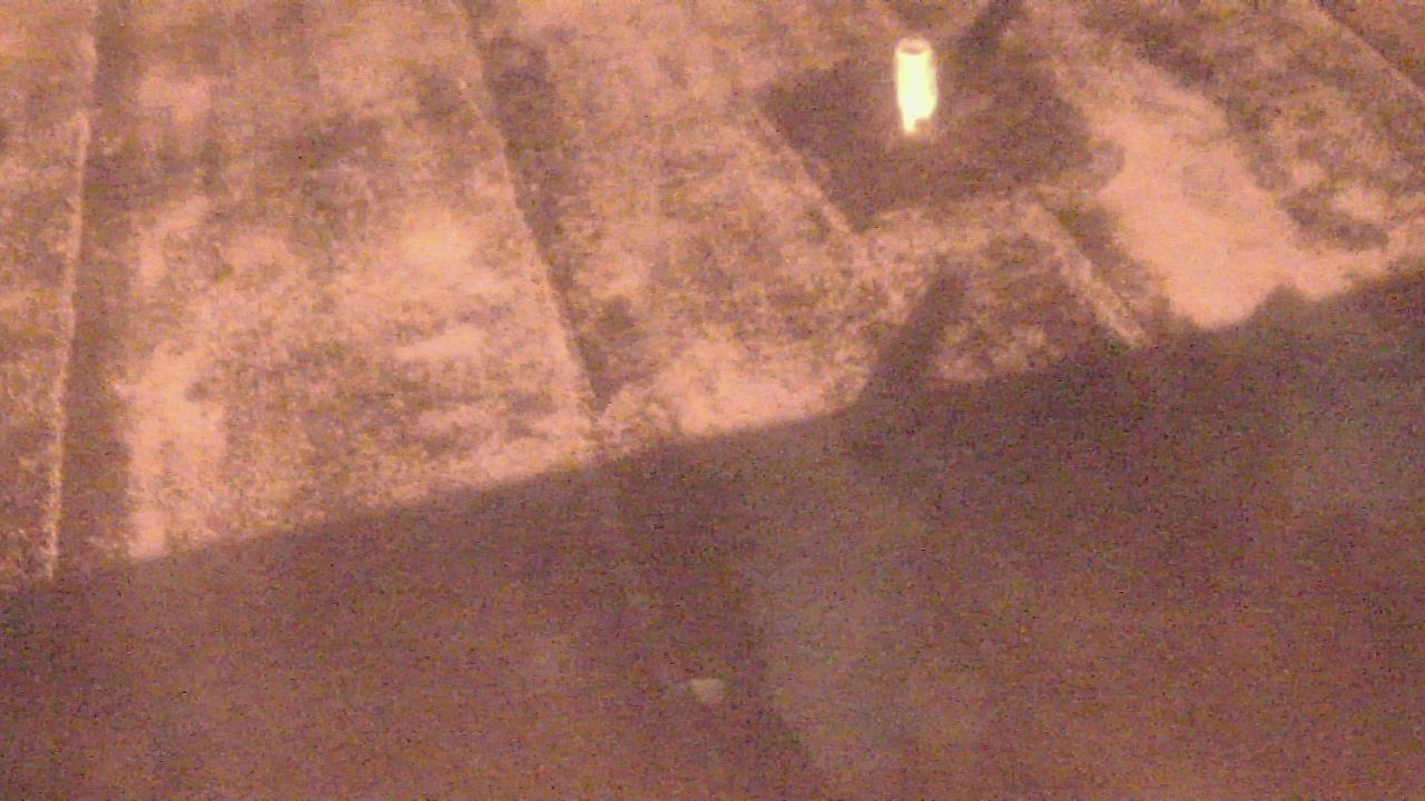 Thumbnail for current weather camera view from Fox Trail ES in Davie, Florida