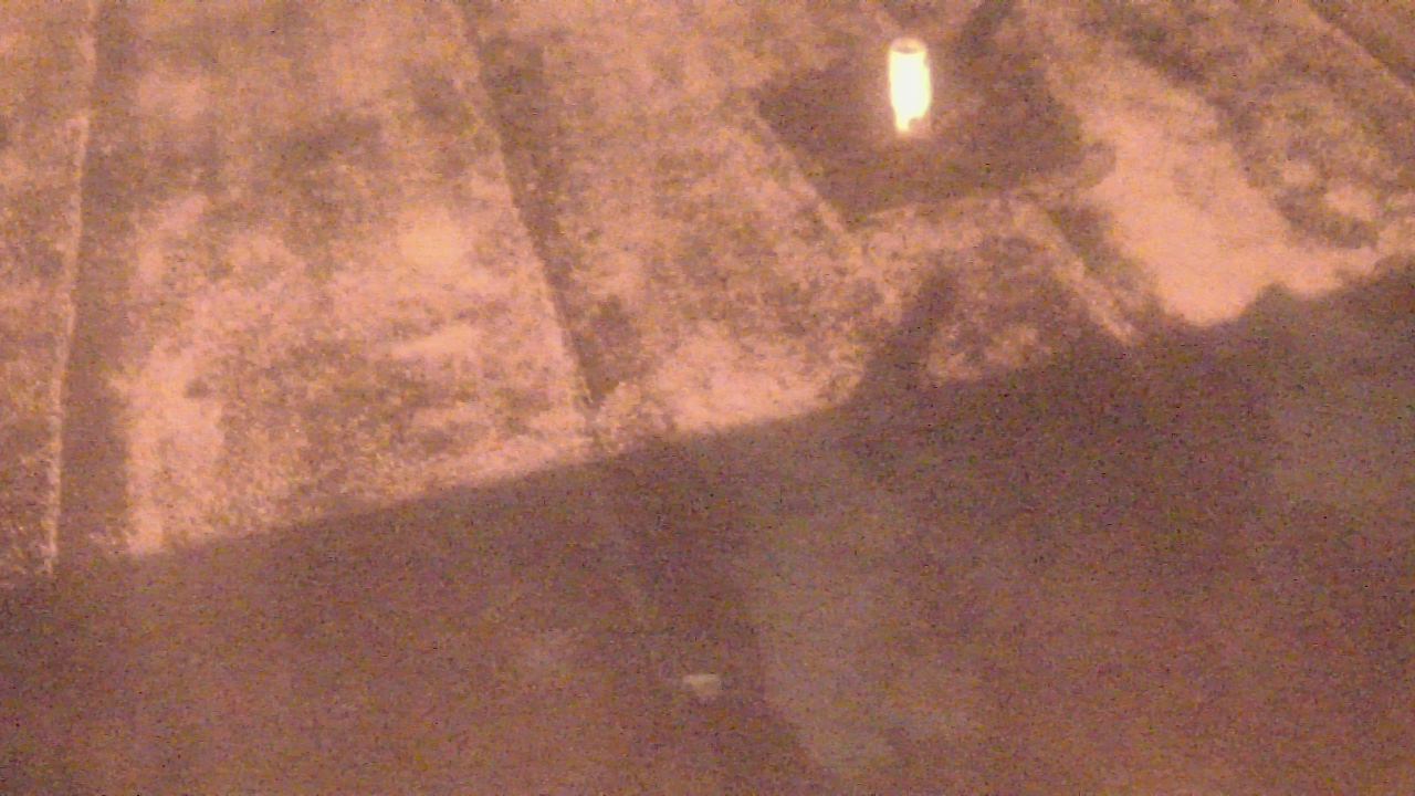 Thumbnail for current weather camera view from Fox Trail ES in Davie, Florida