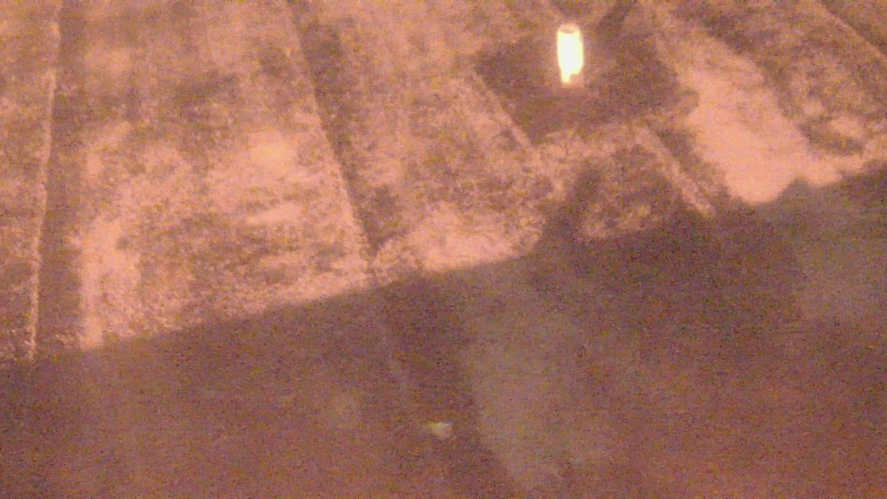 Thumbnail for current weather camera view from Fox Trail ES in Davie, Florida