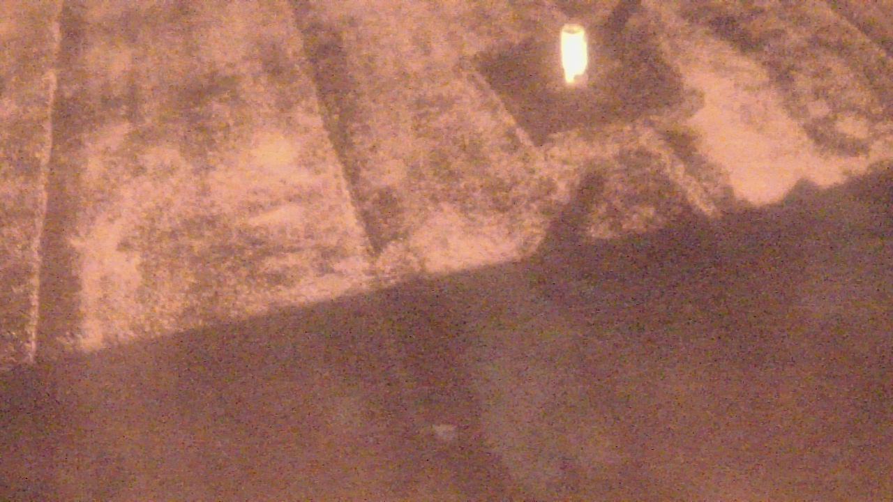 Thumbnail for current weather camera view from Fox Trail ES in Davie, Florida