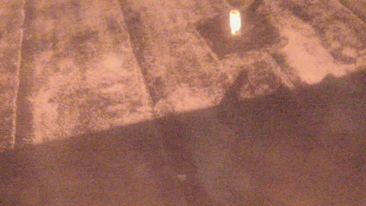 Thumbnail for current weather camera view from Fox Trail ES in Davie, Florida