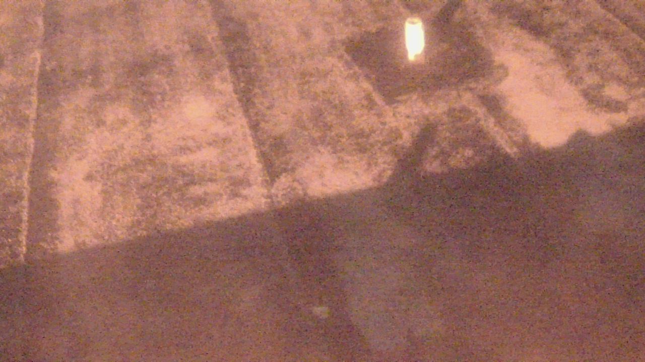 Thumbnail for current weather camera view from Fox Trail ES in Davie, Florida