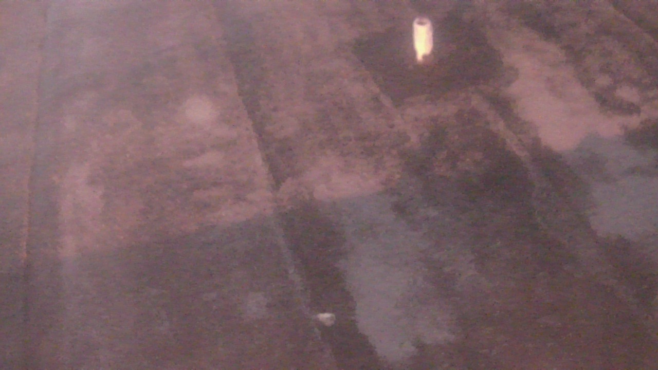 Thumbnail for current weather camera view from Fox Trail ES in Davie, Florida