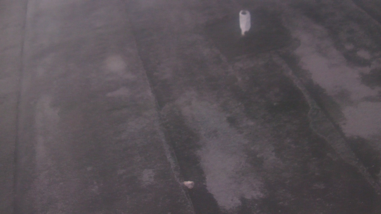 Thumbnail for current weather camera view from Fox Trail ES in Davie, Florida