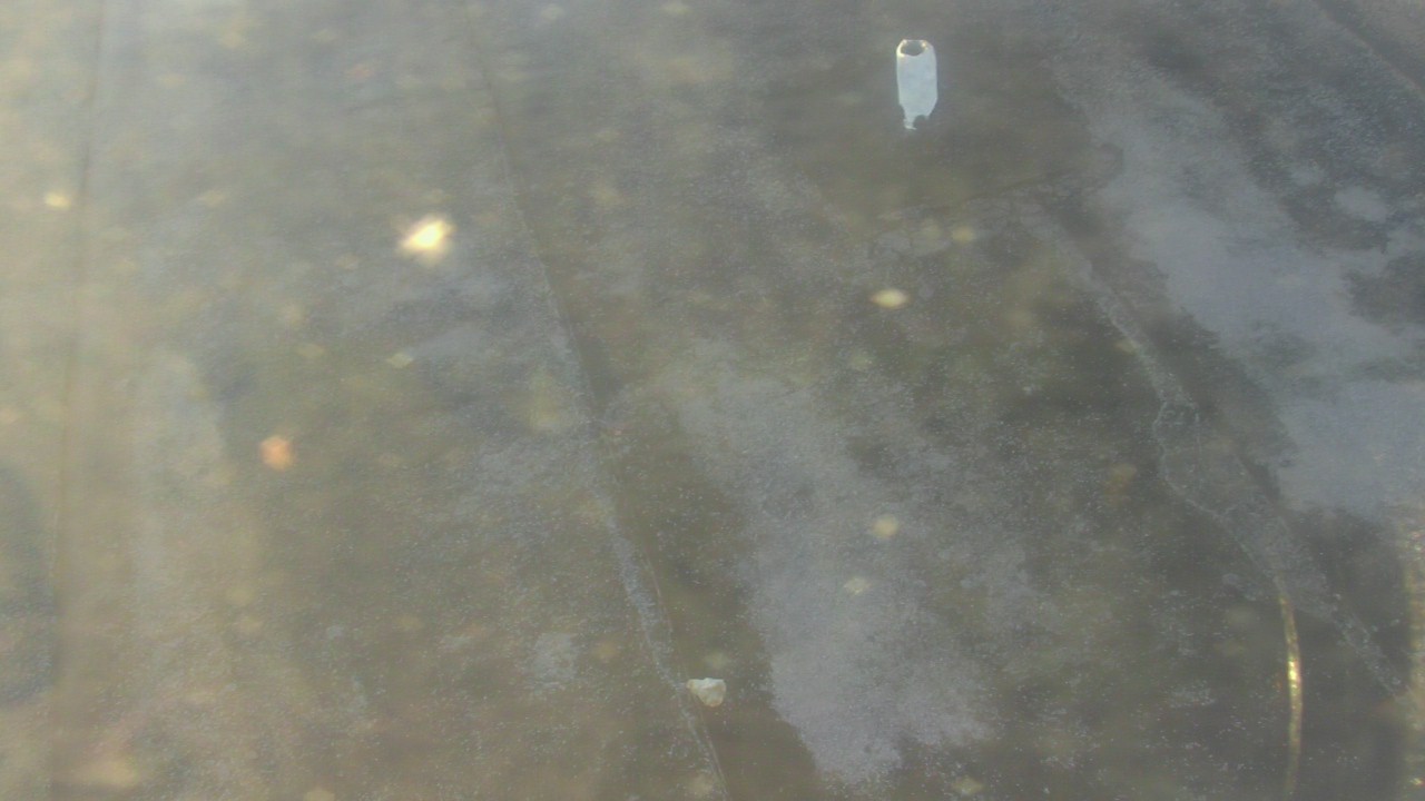 Thumbnail for current weather camera view from Fox Trail ES in Davie, Florida