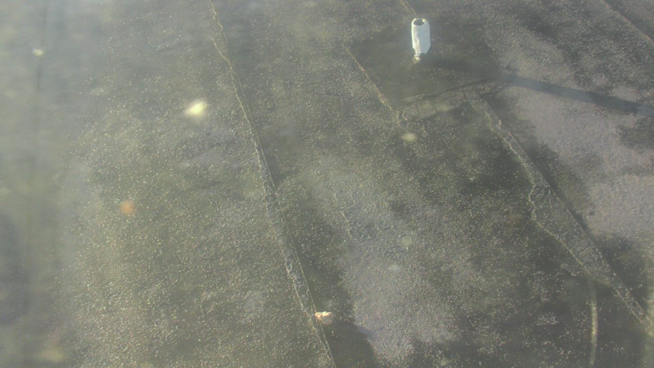 Thumbnail for current weather camera view from Fox Trail ES in Davie, Florida