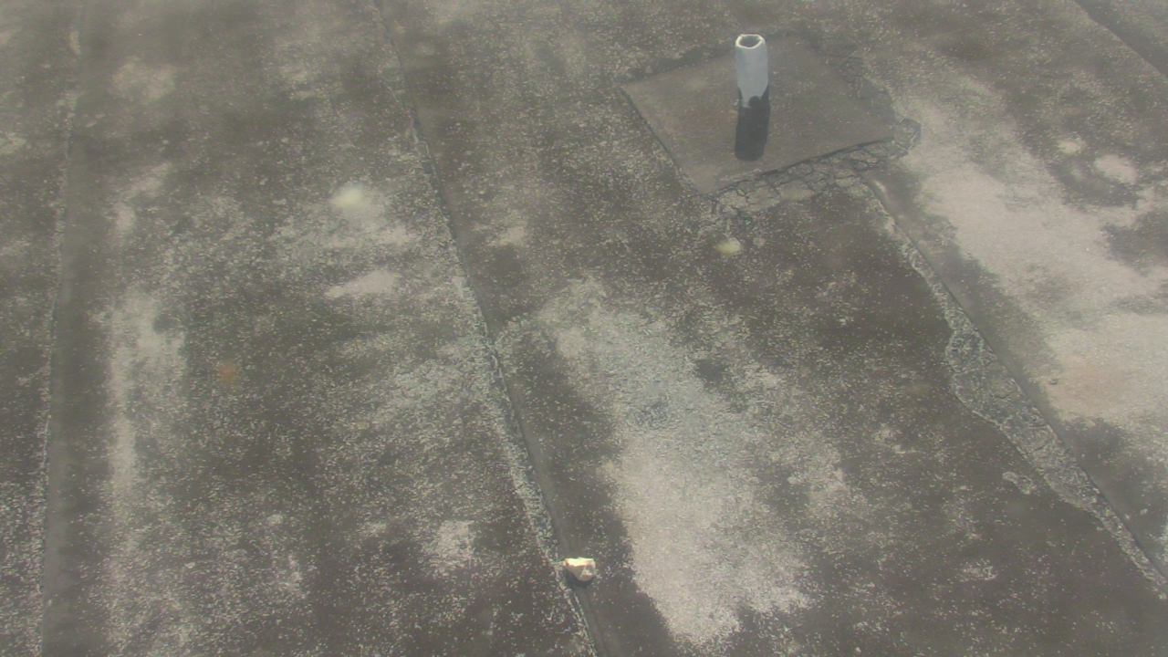 Thumbnail for current weather camera view from Fox Trail ES in Davie, Florida