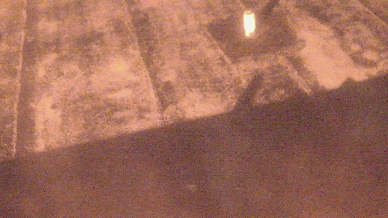 Thumbnail for current weather camera view from Fox Trail ES in Davie, Florida