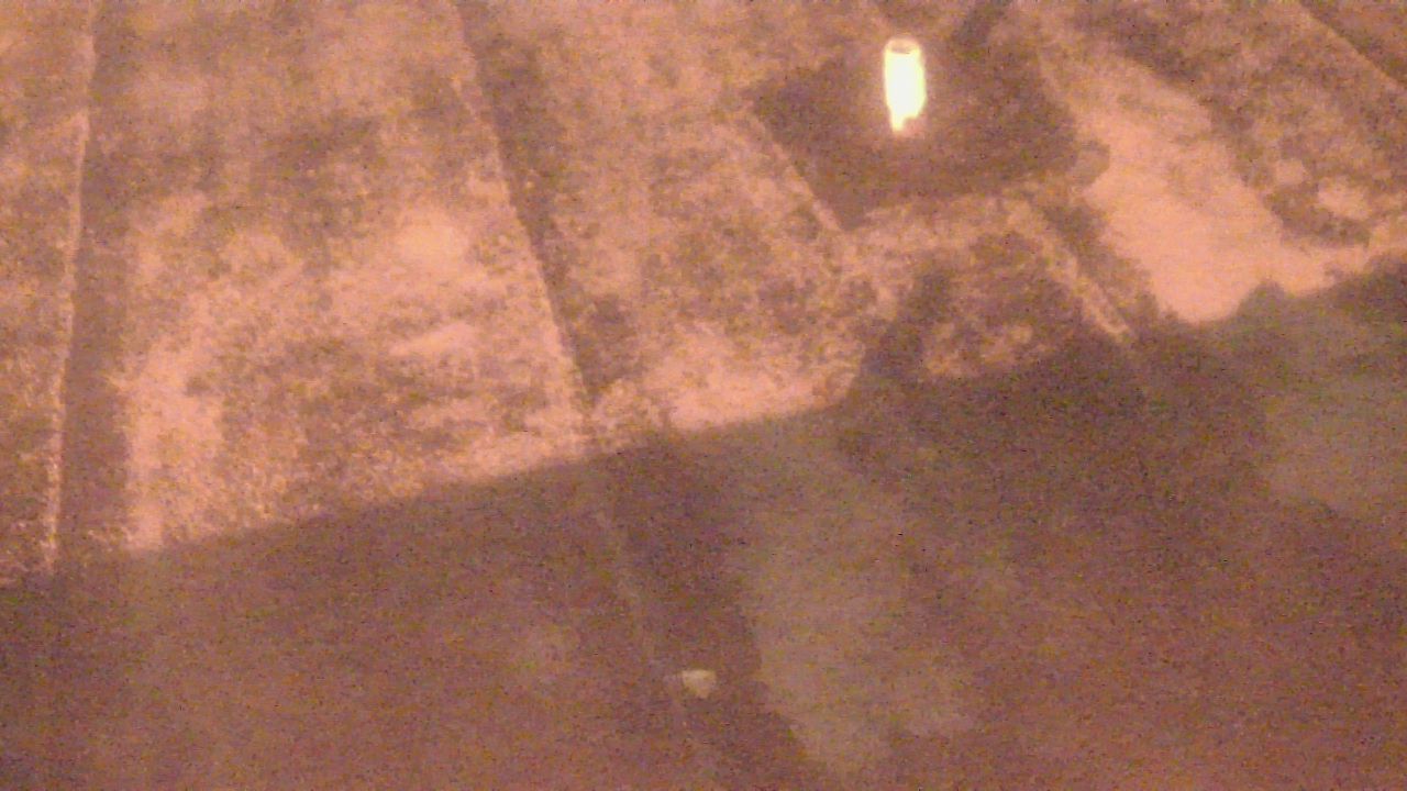 Thumbnail for current weather camera view from Fox Trail ES in Davie, Florida