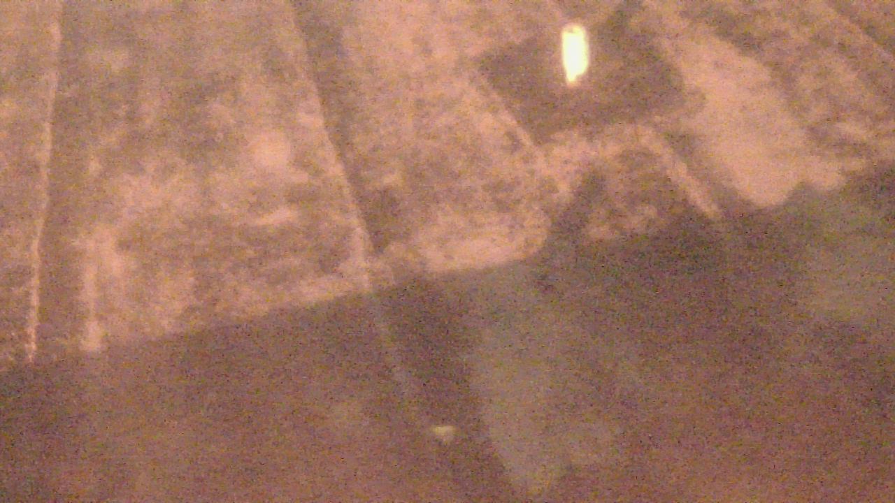 Thumbnail for current weather camera view from Fox Trail ES in Davie, Florida