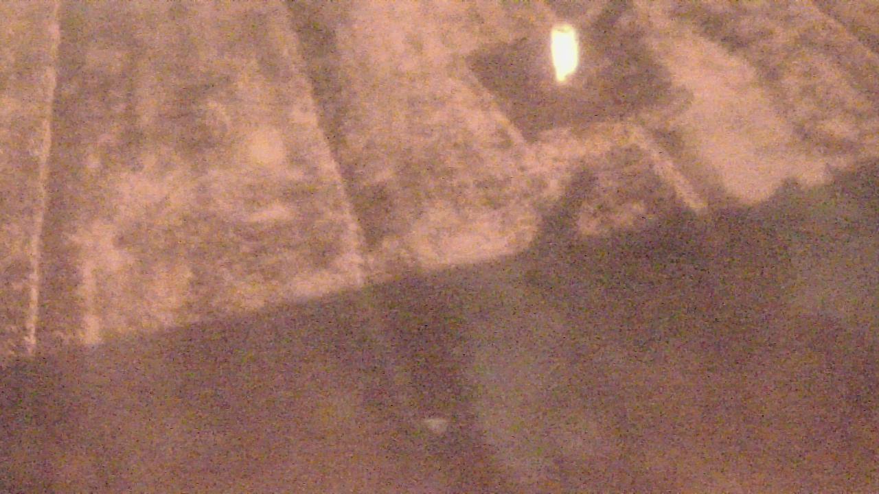 Thumbnail for current weather camera view from Fox Trail ES in Davie, Florida