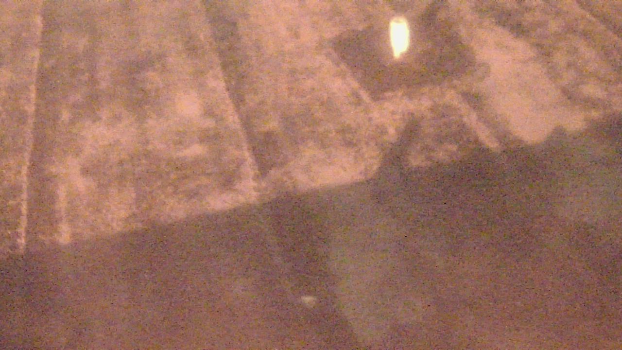 Thumbnail for current weather camera view from Fox Trail ES in Davie, Florida