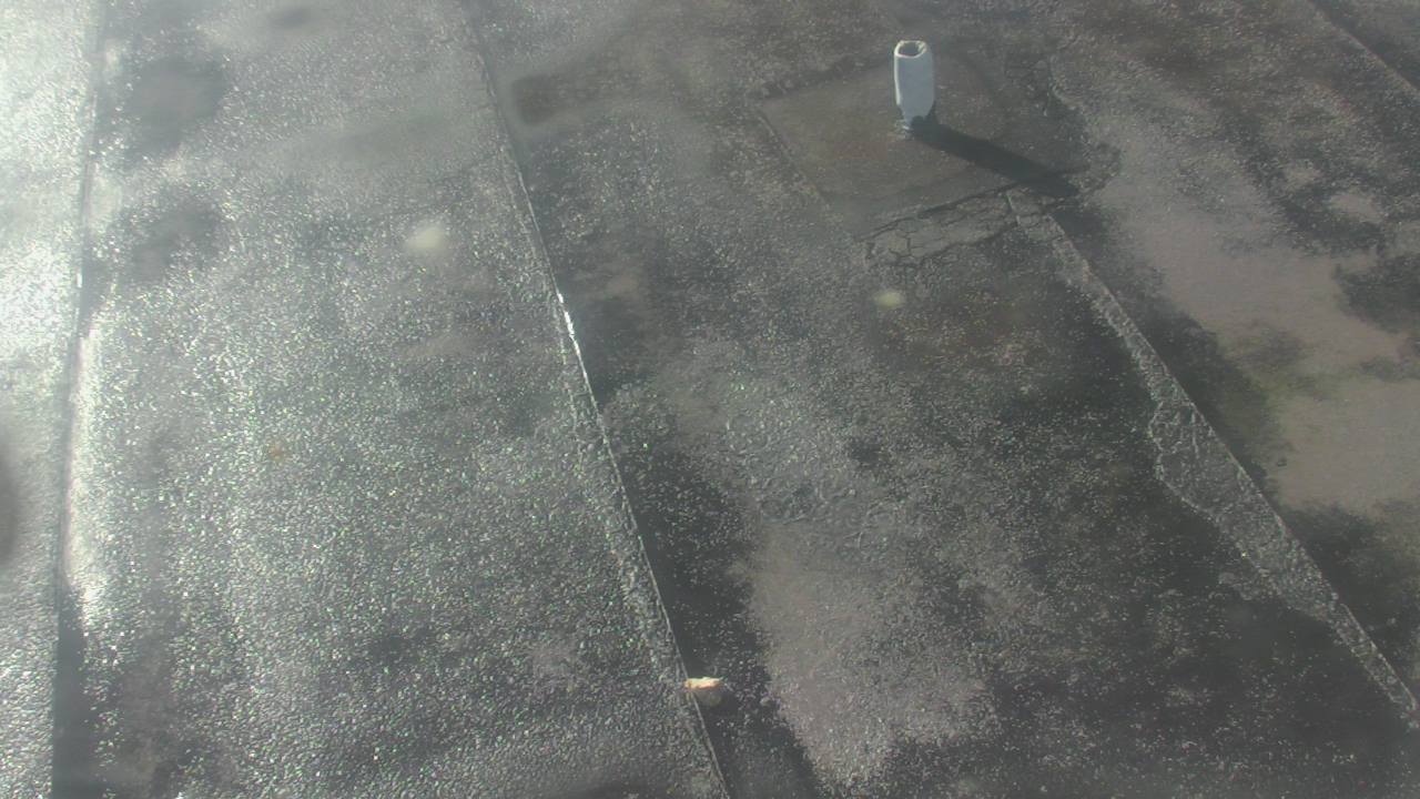 Thumbnail for current weather camera view from Fox Trail ES in Davie, Florida