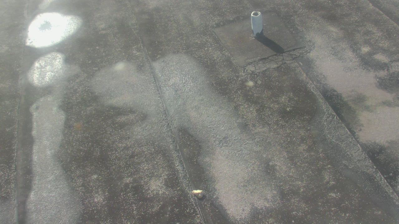 Thumbnail for current weather camera view from Fox Trail ES in Davie, Florida