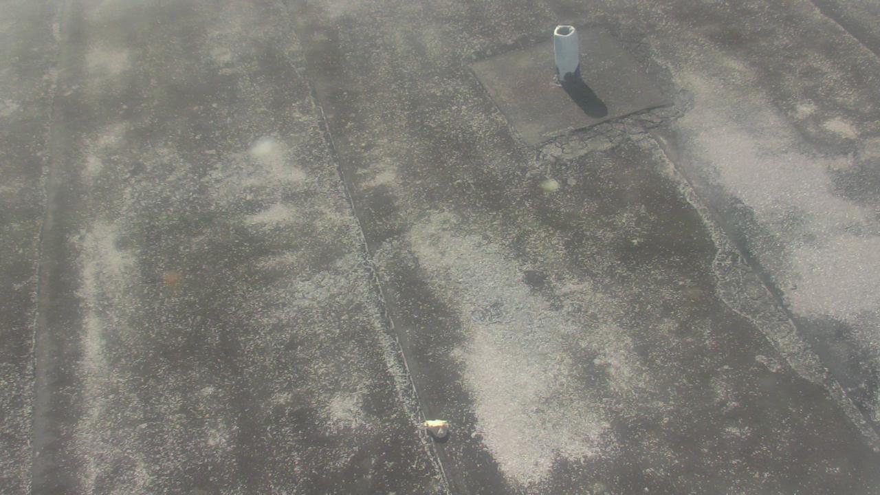 Thumbnail for current weather camera view from Fox Trail ES in Davie, Florida