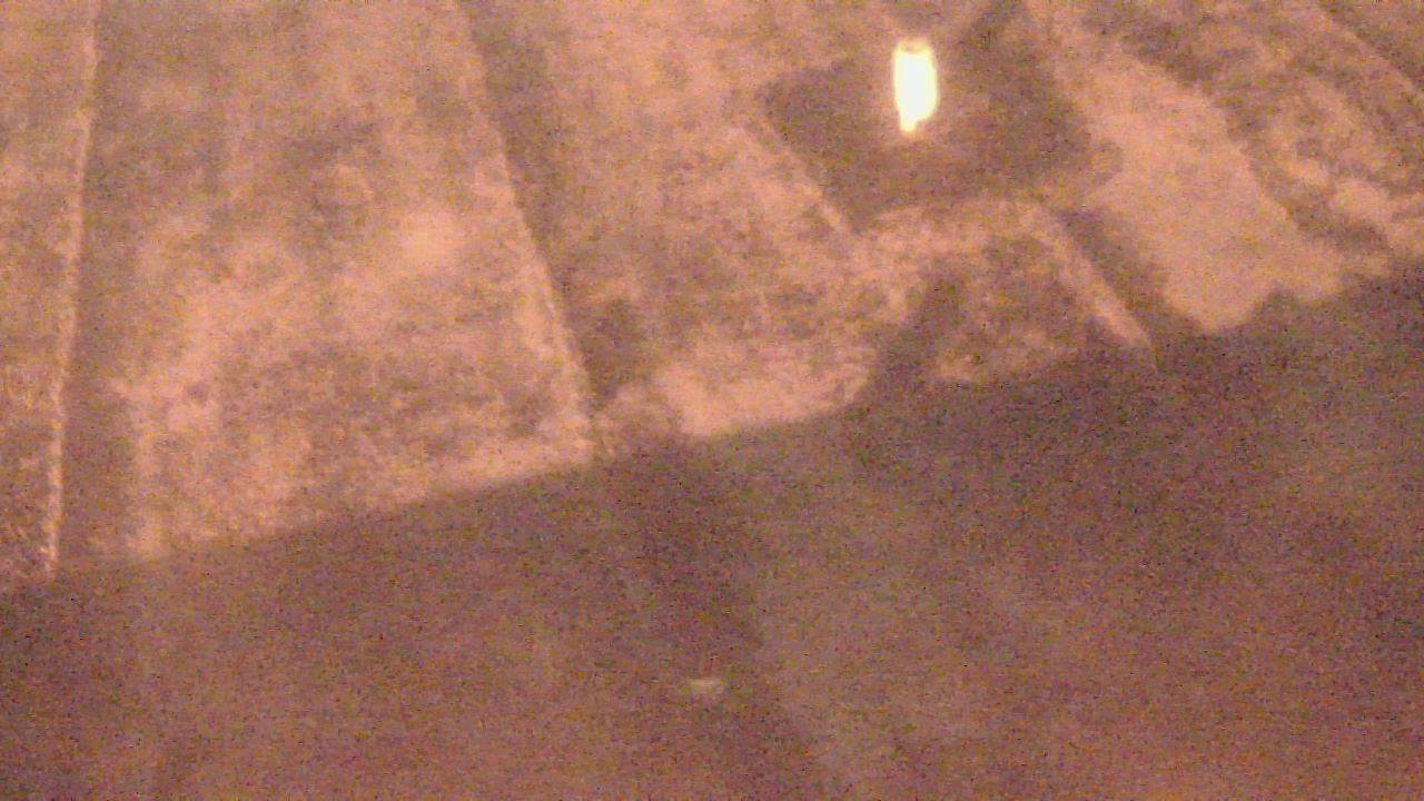 Thumbnail for current weather camera view from Fox Trail ES in Davie, Florida