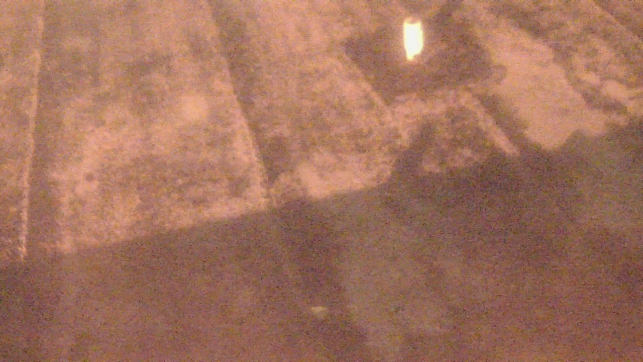 Thumbnail for current weather camera view from Fox Trail ES in Davie, Florida