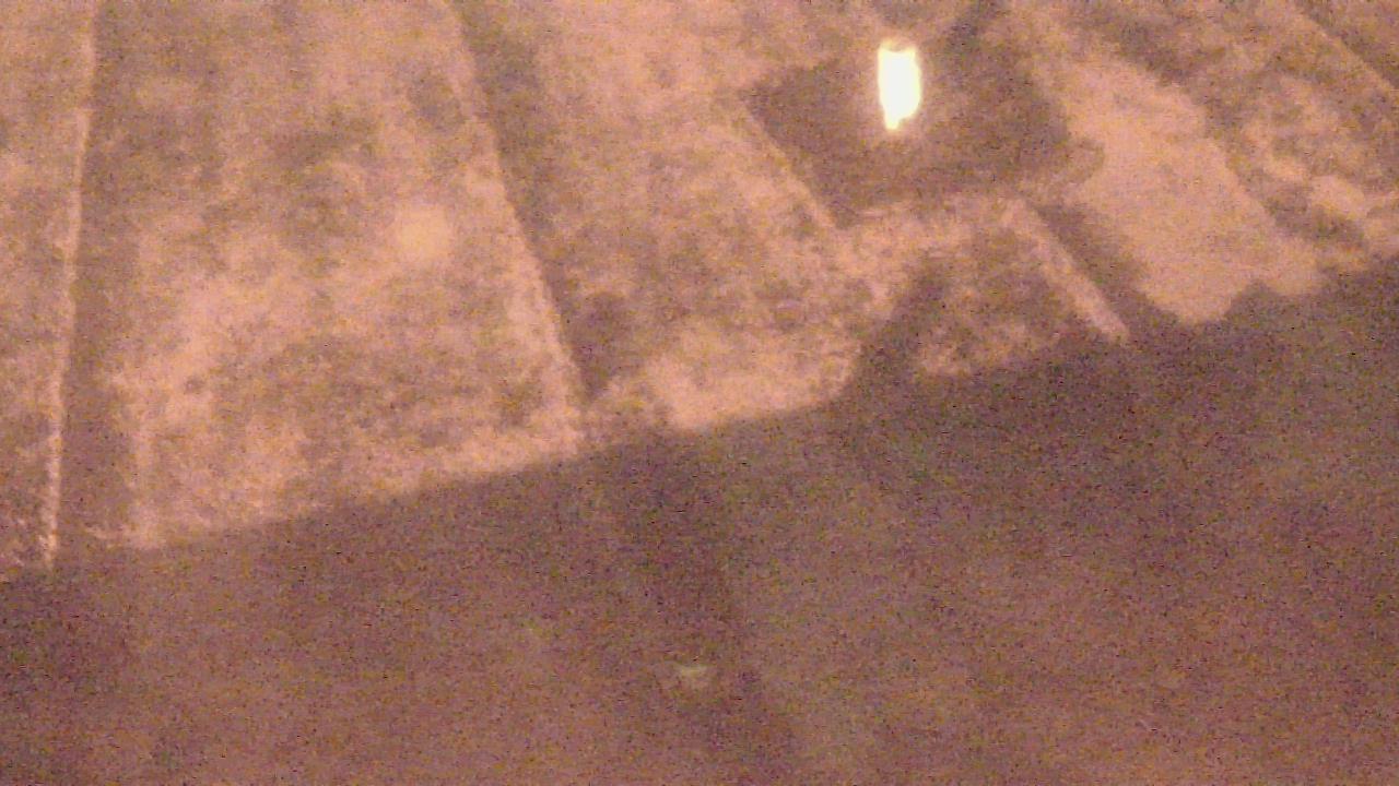 Thumbnail for current weather camera view from Fox Trail ES in Davie, Florida