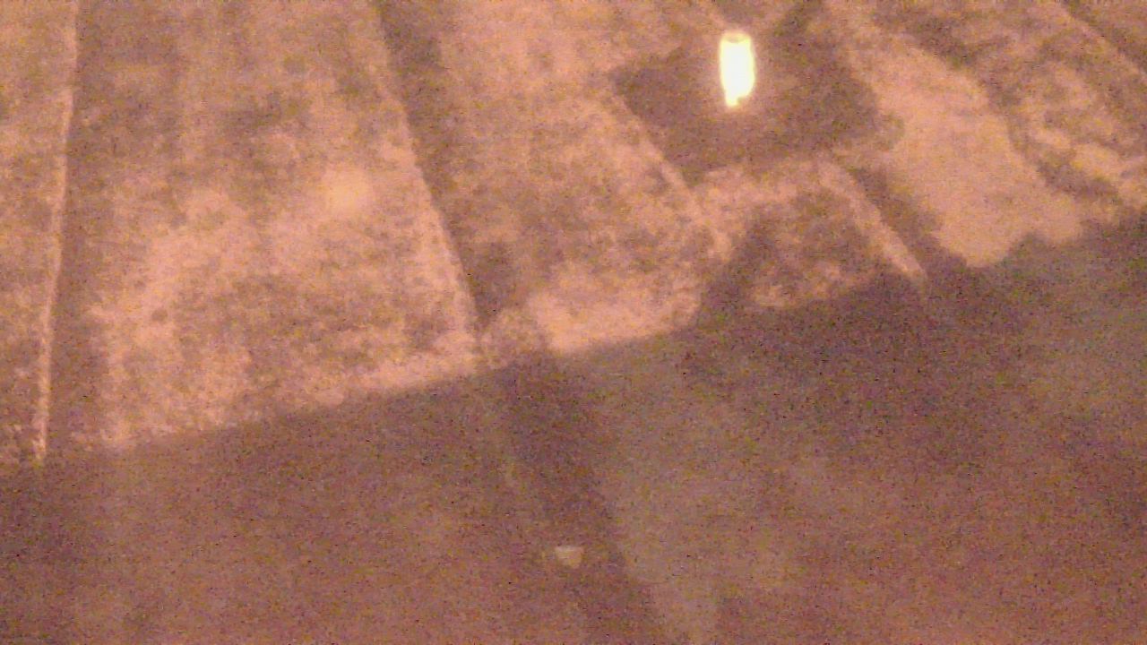 Thumbnail for current weather camera view from Fox Trail ES in Davie, Florida