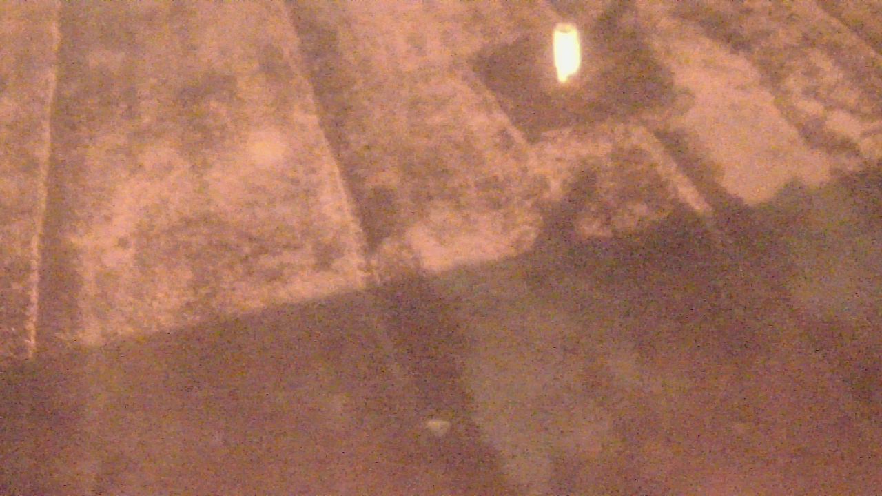 Thumbnail for current weather camera view from Fox Trail ES in Davie, Florida