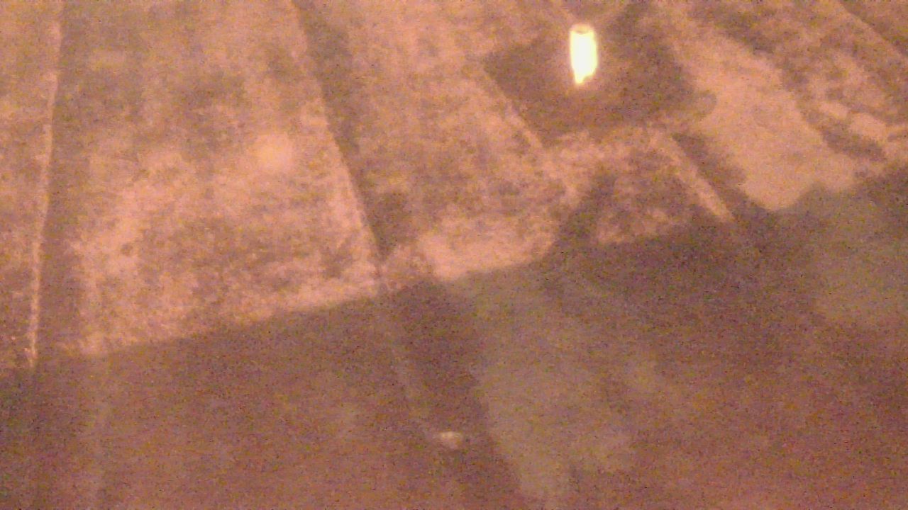 Thumbnail for current weather camera view from Fox Trail ES in Davie, Florida