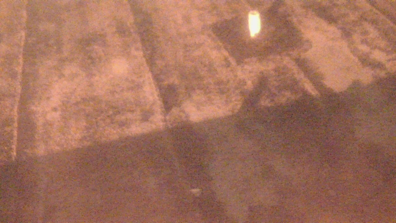 Thumbnail for current weather camera view from Fox Trail ES in Davie, Florida