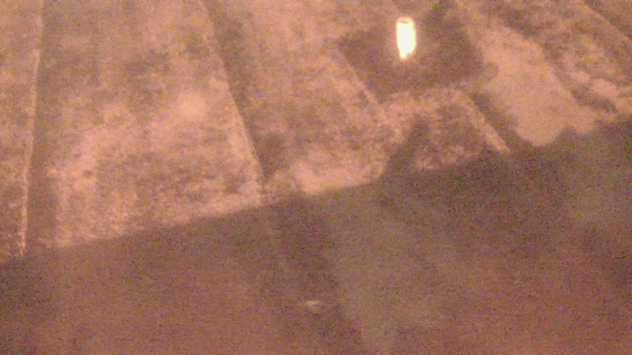 Thumbnail for current weather camera view from Fox Trail ES in Davie, Florida