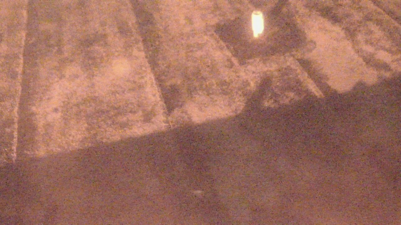 Thumbnail for current weather camera view from Fox Trail ES in Davie, Florida