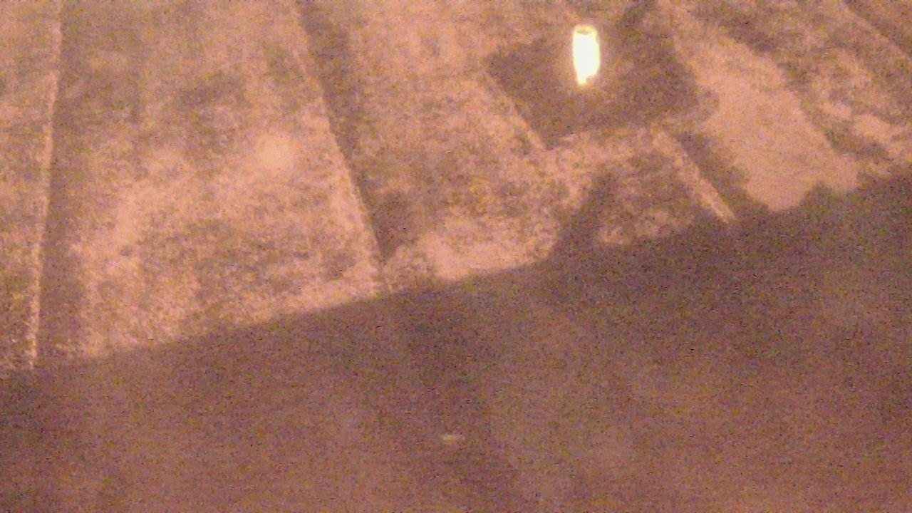 Thumbnail for current weather camera view from Fox Trail ES in Davie, Florida