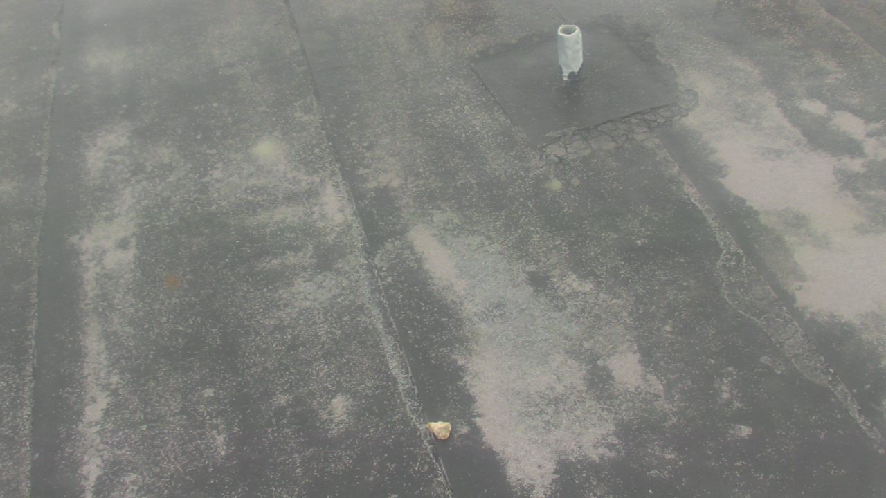 Thumbnail for current weather camera view from Fox Trail ES in Davie, Florida