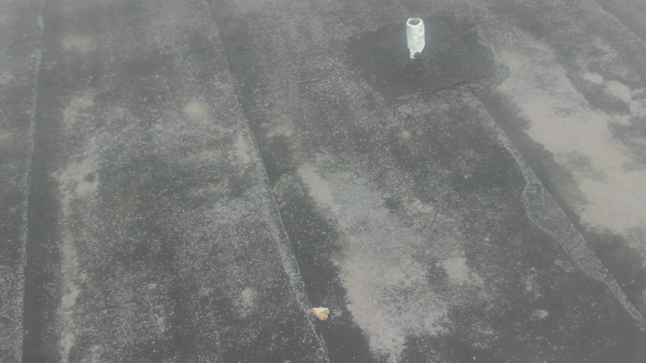 Thumbnail for current weather camera view from Fox Trail ES in Davie, Florida