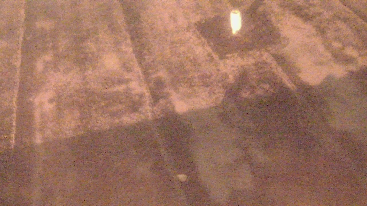 Thumbnail for current weather camera view from Fox Trail ES in Davie, Florida