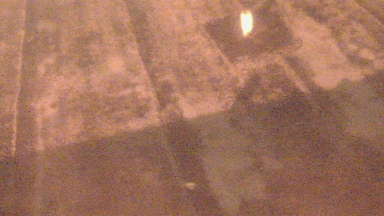 Thumbnail for current weather camera view from Fox Trail ES in Davie, Florida