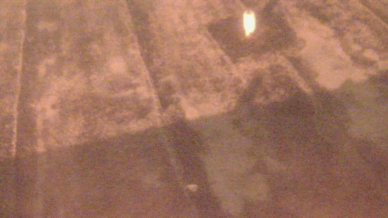 Thumbnail for current weather camera view from Fox Trail ES in Davie, Florida