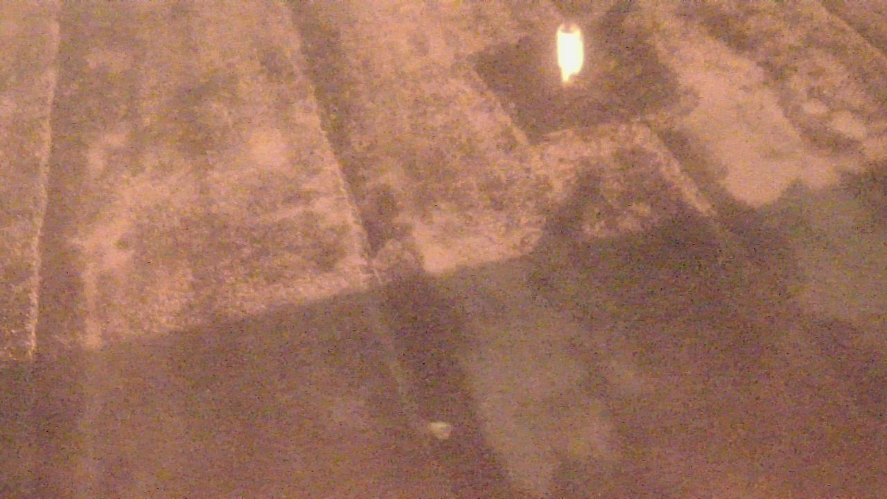 Thumbnail for current weather camera view from Fox Trail ES in Davie, Florida