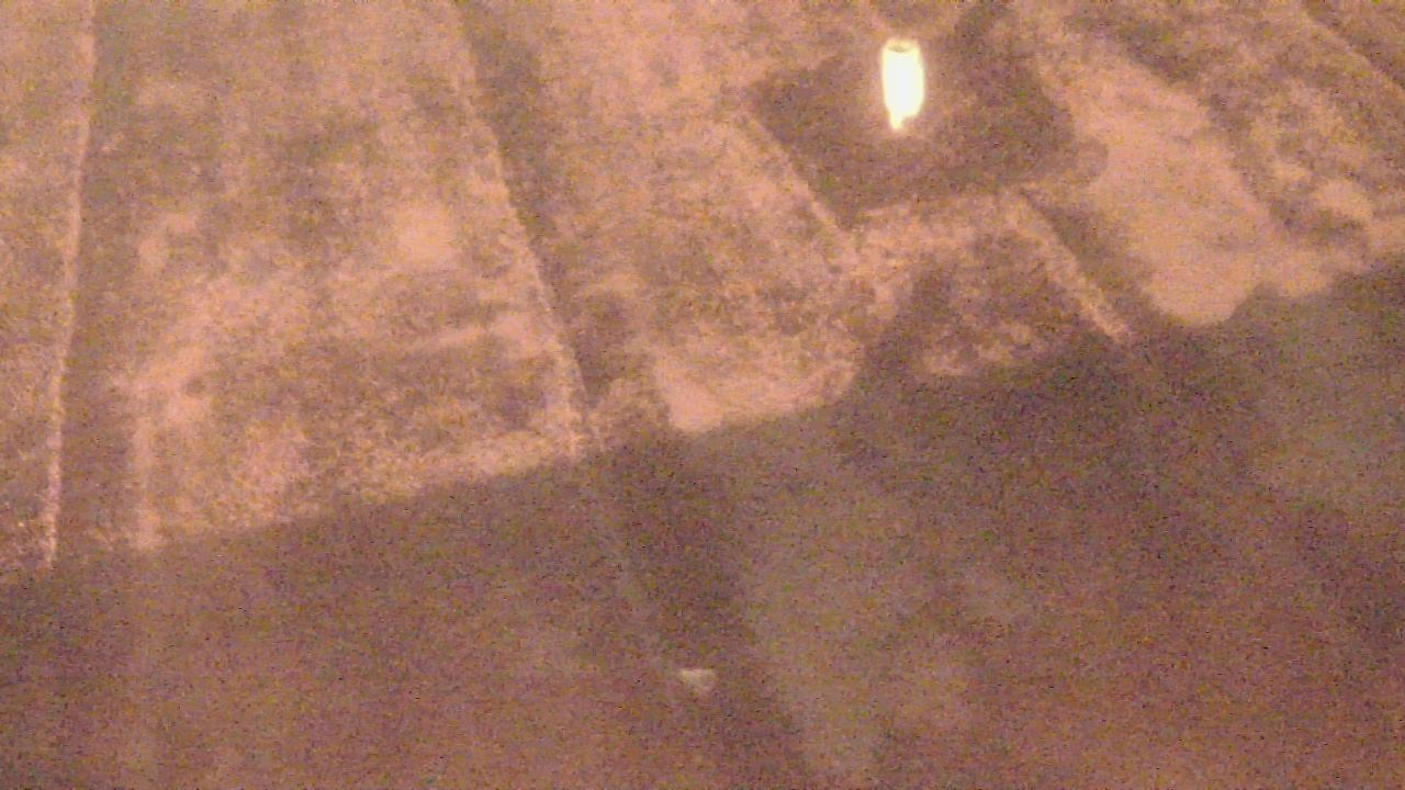 Thumbnail for current weather camera view from Fox Trail ES in Davie, Florida