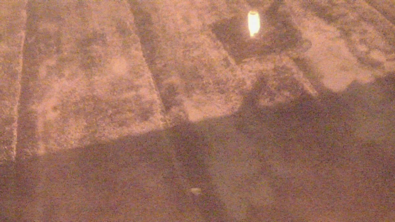 Thumbnail for current weather camera view from Fox Trail ES in Davie, Florida