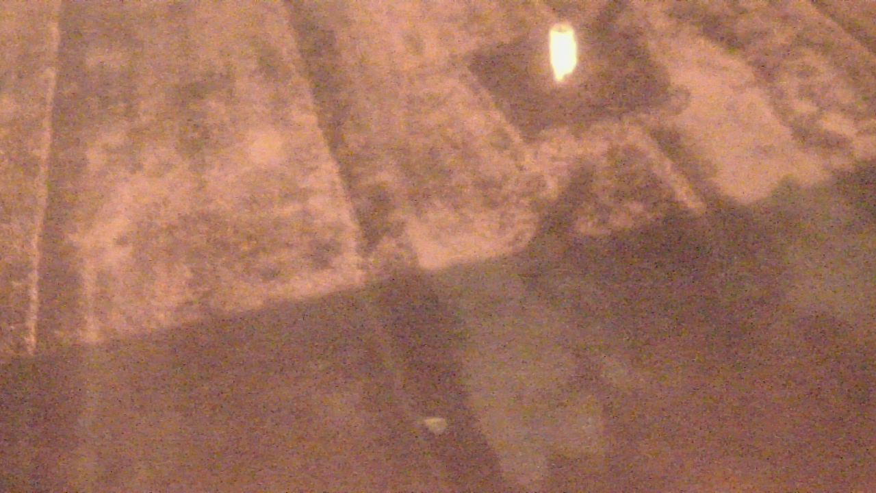 Thumbnail for current weather camera view from Fox Trail ES in Davie, Florida