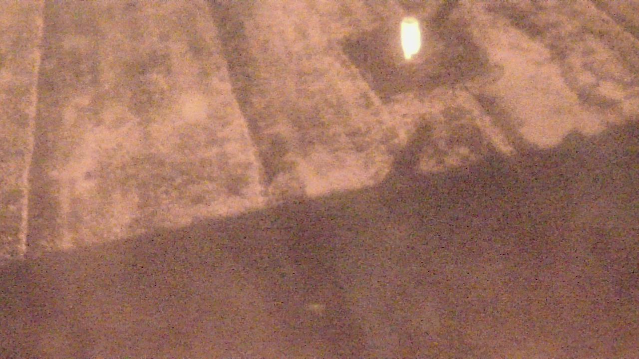 Thumbnail for current weather camera view from Fox Trail ES in Davie, Florida