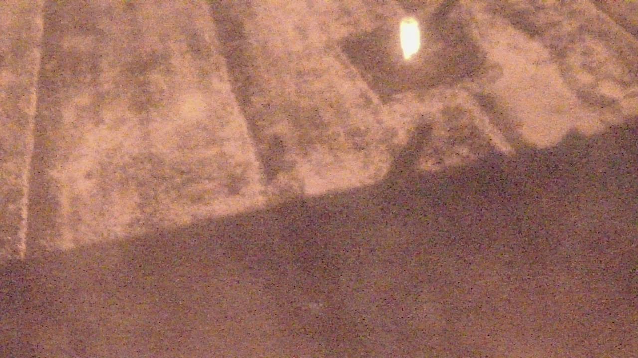 Thumbnail for current weather camera view from Fox Trail ES in Davie, Florida