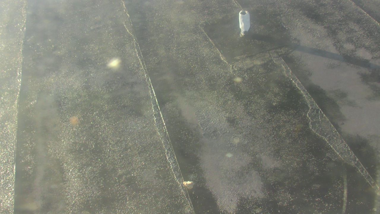 Thumbnail for current weather camera view from Fox Trail ES in Davie, Florida