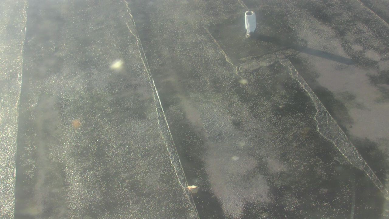 Thumbnail for current weather camera view from Fox Trail ES in Davie, Florida