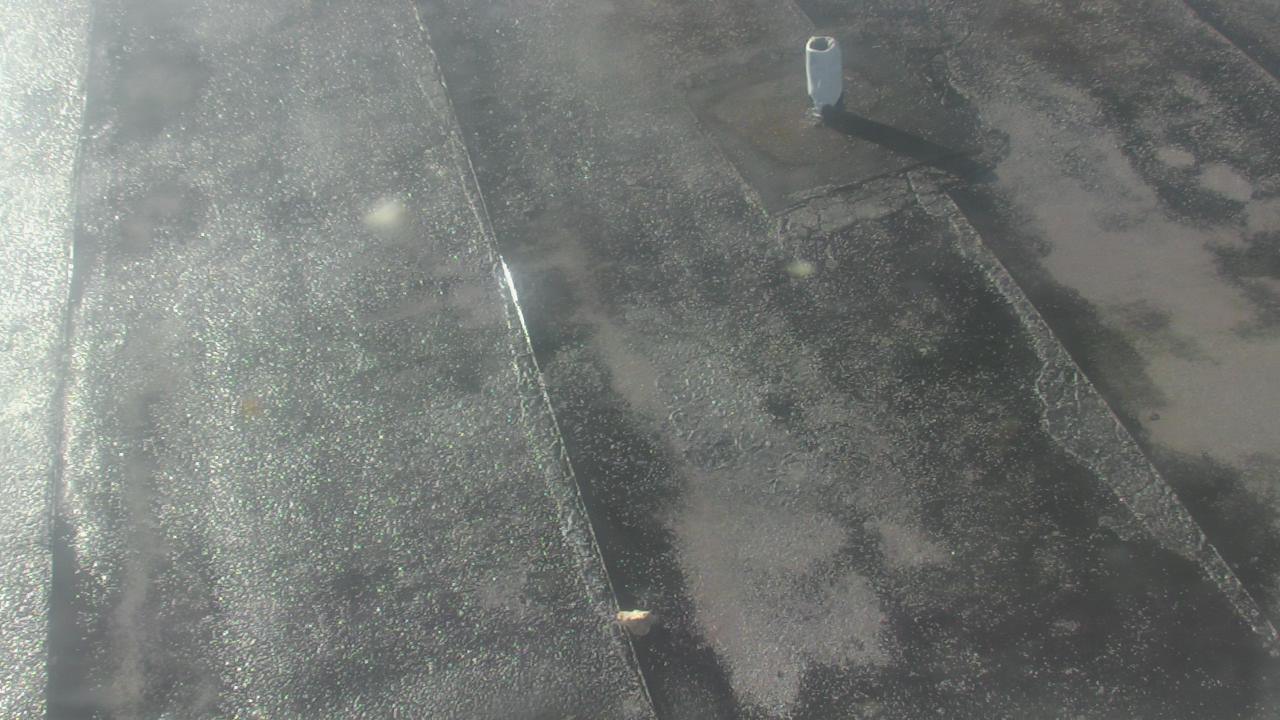 Thumbnail for current weather camera view from Fox Trail ES in Davie, Florida