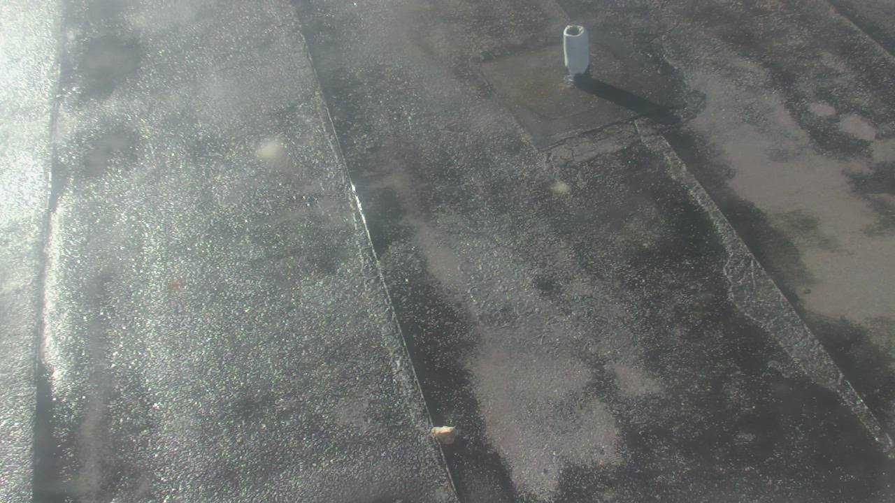 Thumbnail for current weather camera view from Fox Trail ES in Davie, Florida