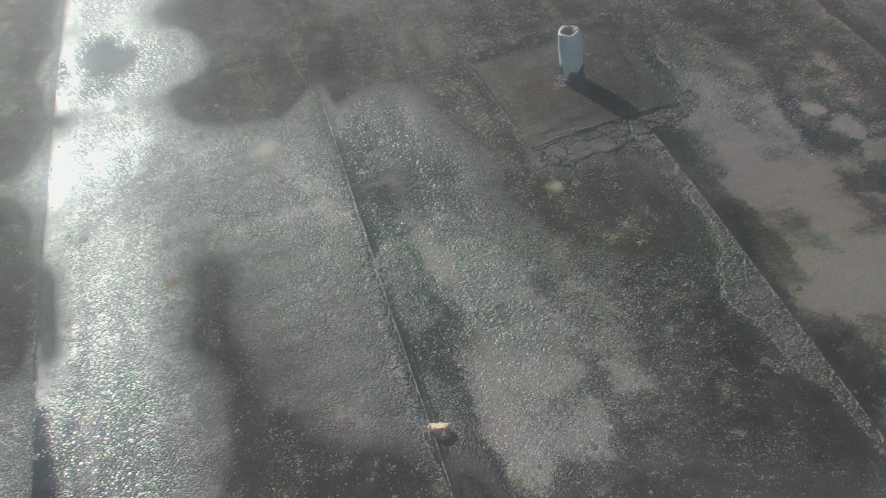 Thumbnail for current weather camera view from Fox Trail ES in Davie, Florida