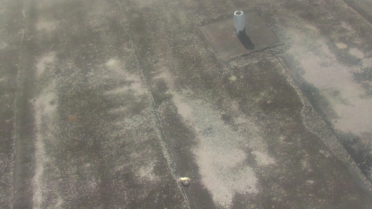 Thumbnail for current weather camera view from Fox Trail ES in Davie, Florida